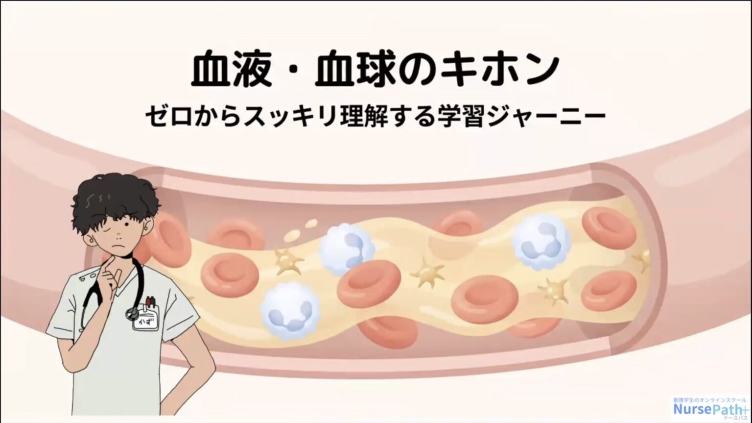 血液系徹底解説!!輸血や、表裏試験など全部網羅!! - NursePath+