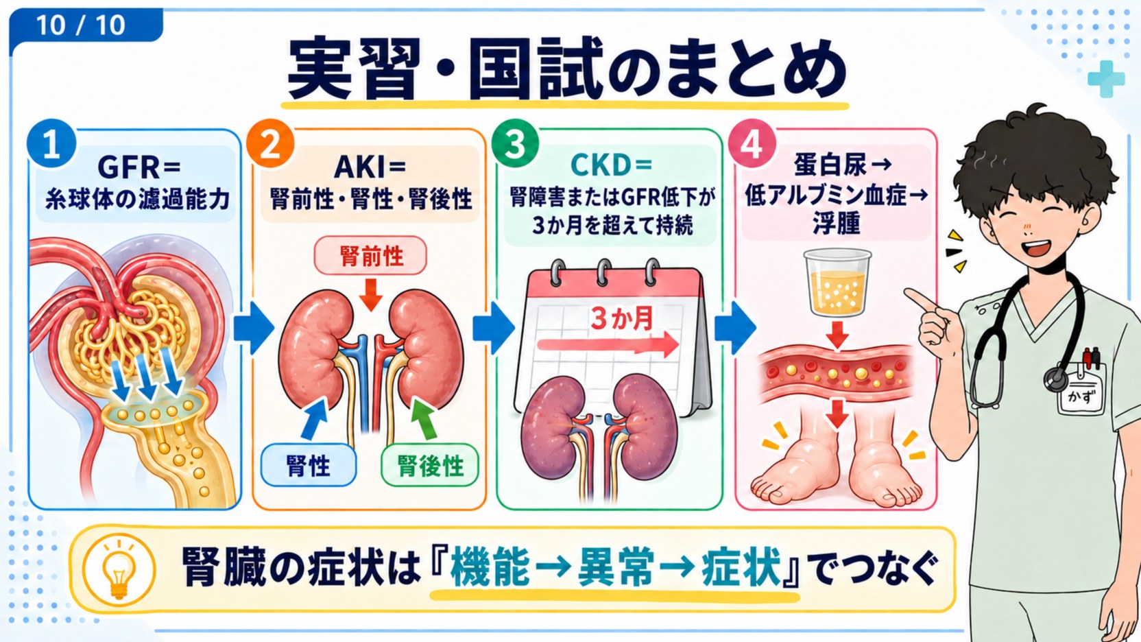 腎臓の症状は機能・異常・症状でつなぐ(実習・国試のまとめ)
