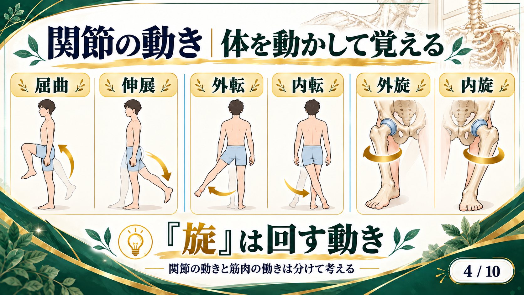 関節の動き：屈曲・伸展・外転・内転・外旋・内旋