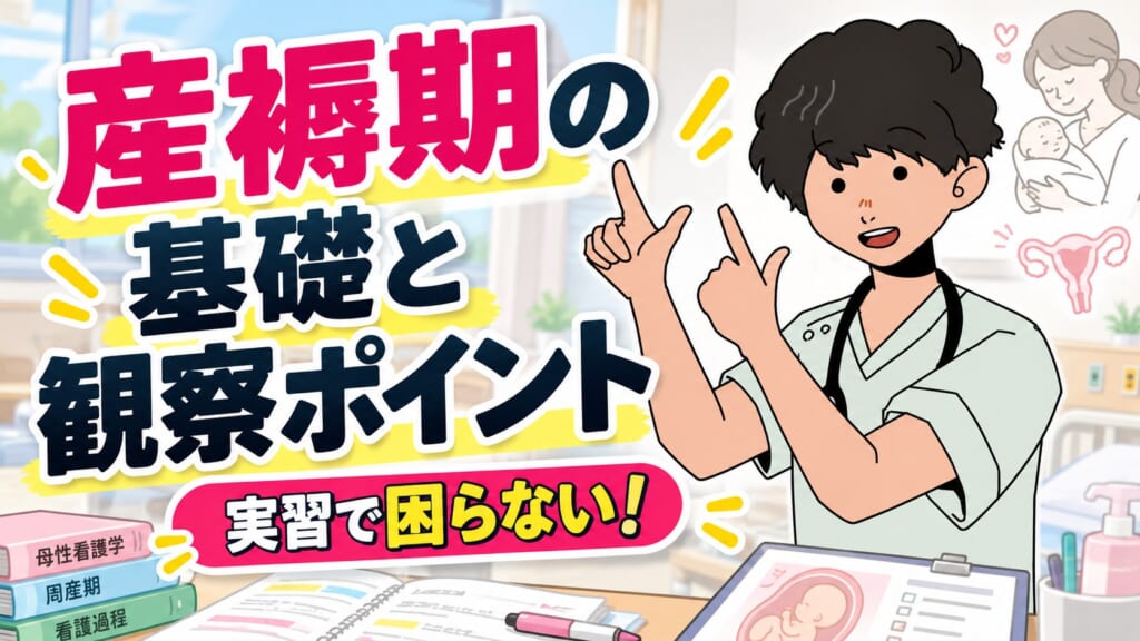産褥期の基礎と観察ポイント 実習で困らない